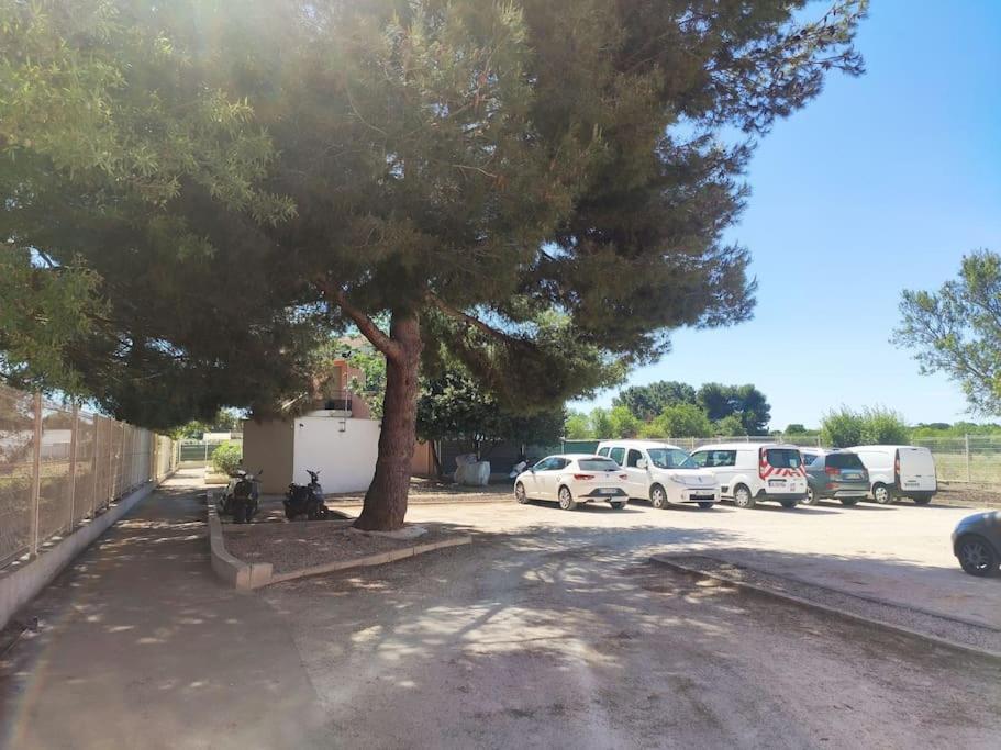 Ferienwohnung Harmonie Du Sud Le Grau-dʼAgde Exterior foto