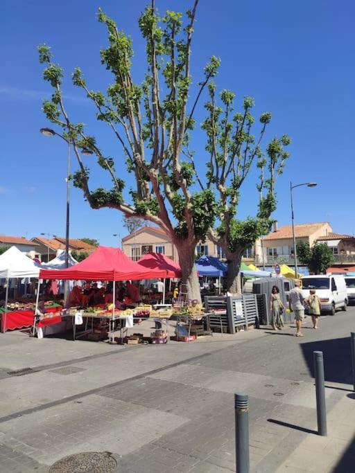 Ferienwohnung Harmonie Du Sud Le Grau-dʼAgde Exterior foto
